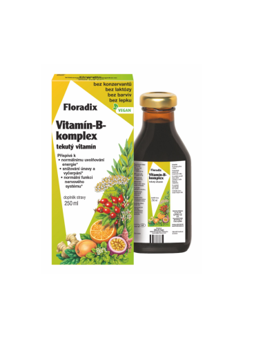 Salus Floradix Vitamin-B komplex 250 ml